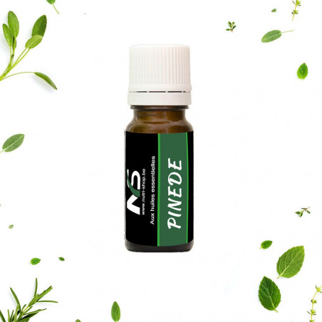 Huiles Essentielles pour diffusion Pinède 10 ml