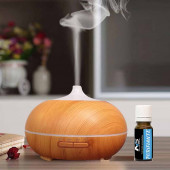 Diffuseur plus une huile Purifiante 10 ml